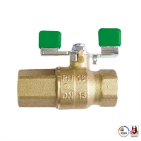 Ball valves with backflow preventer