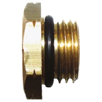 Sealing screw