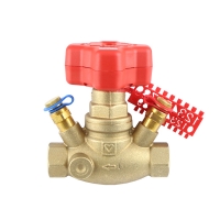 Commissioning valve for differential pressure measurement (straight body)